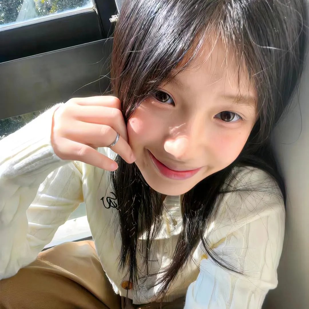 狐及其友