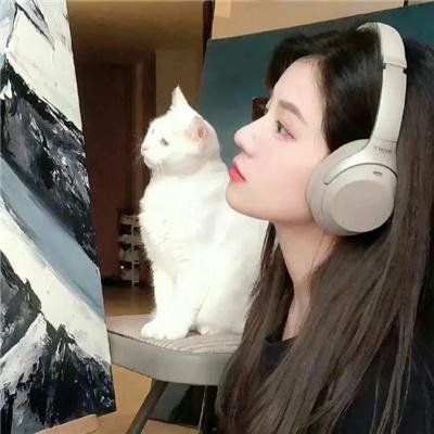 秘密六客